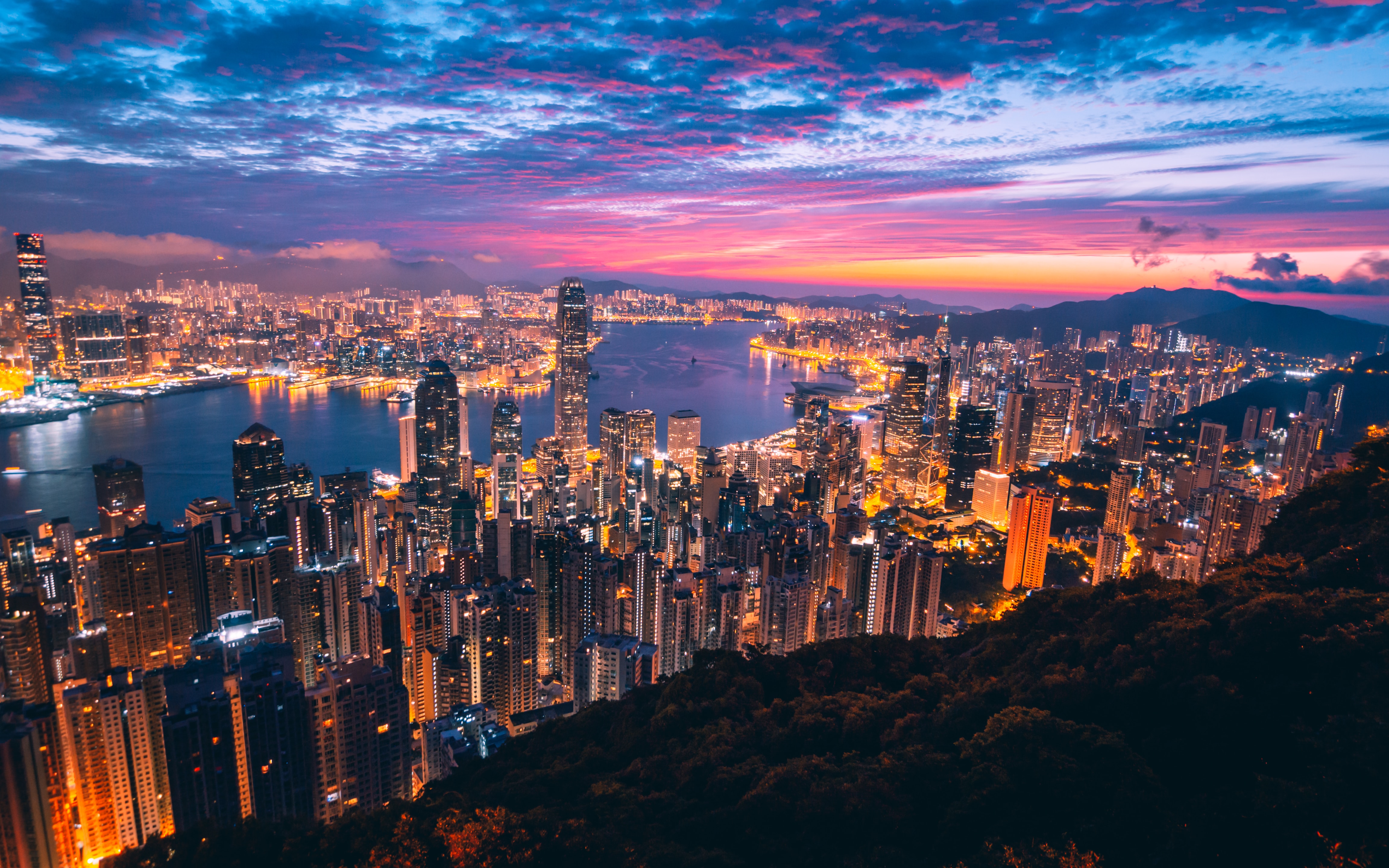 Hong Kong milk tea
